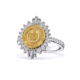 SAGU Waxahachie | SAGU Lions | SAGU Class Ring | Southwestern AOG University | Southwestern Assemblies of God Lions | 311 Honor