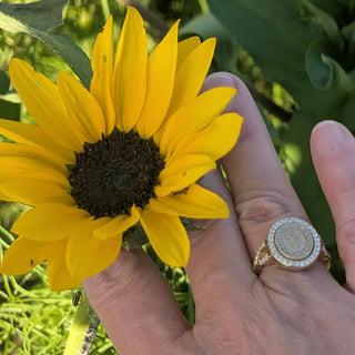 Baylor Class Ring | A close-up of a hand holding a bright yellow sunflower outdoors, with a gold class ring featuring a round face and small clear stones worn on the ring finger. Green foliage is blurred in the background.