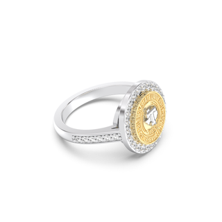 Tarleton Class Ring | Tarleton State University Ring | Platinum Silver | 249 Eternity
