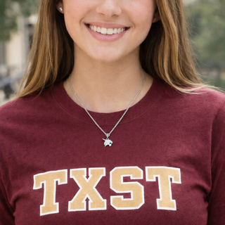 Colgante de Texas State University TXST Texas de acero inoxidable