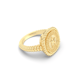 UTRGV Class Ring | San Jose Jewelers Custom College Rings | 222 Classic Ring In Yellow Gold | University Of Texas Rio Grande Valley UTRGV Star Seal In Yellow Gold