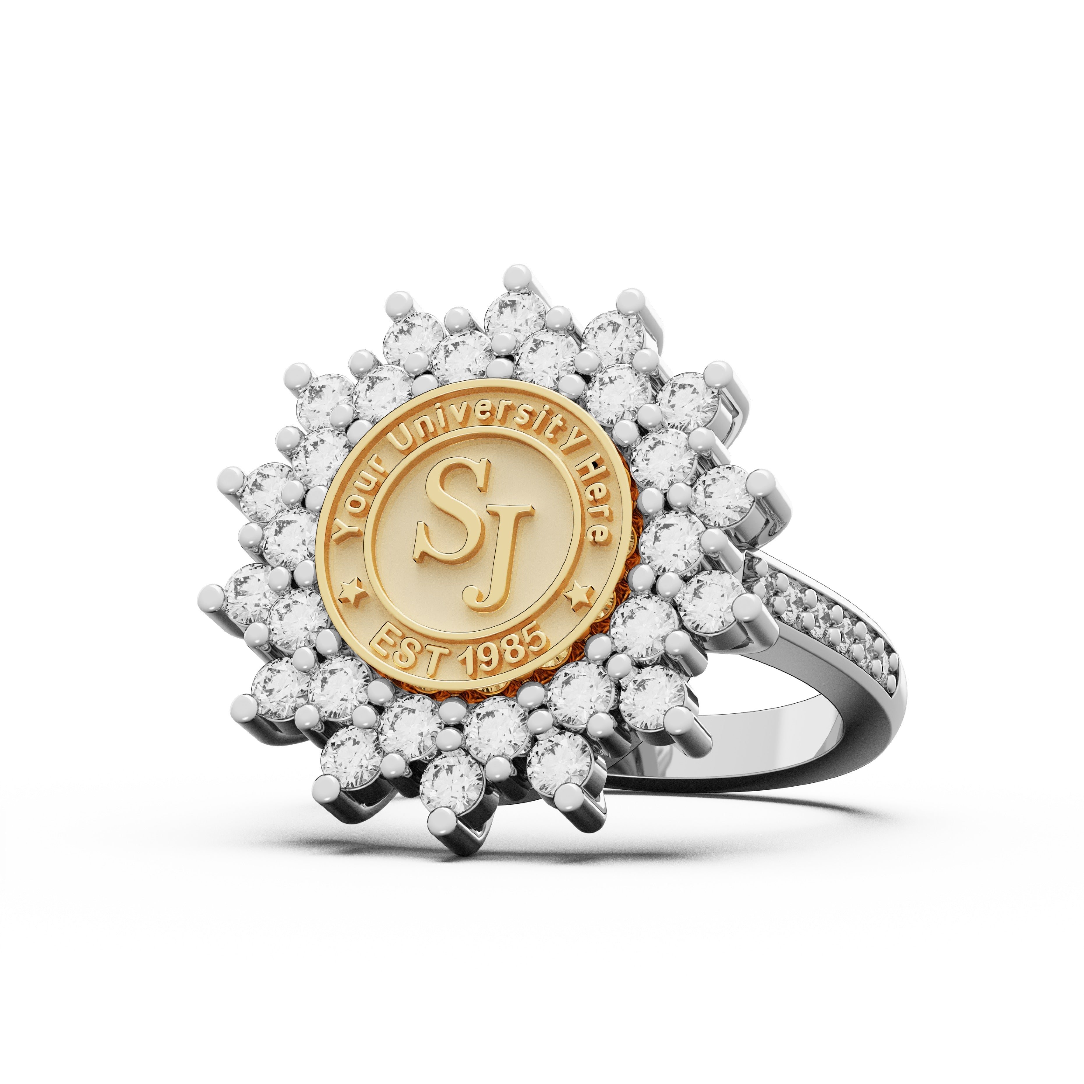 Uiw best sale class ring