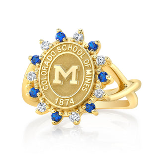 The Cherish 193 university collection ring in 14K yellow gold with a 12X10 mm seal. 